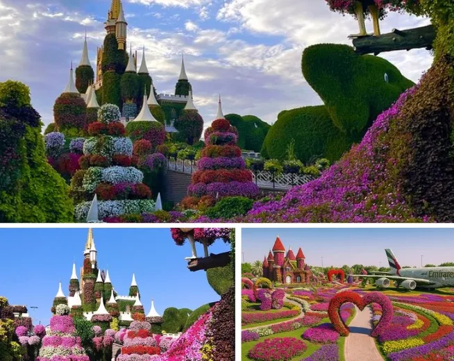 Dubai Miracle Garden Tour